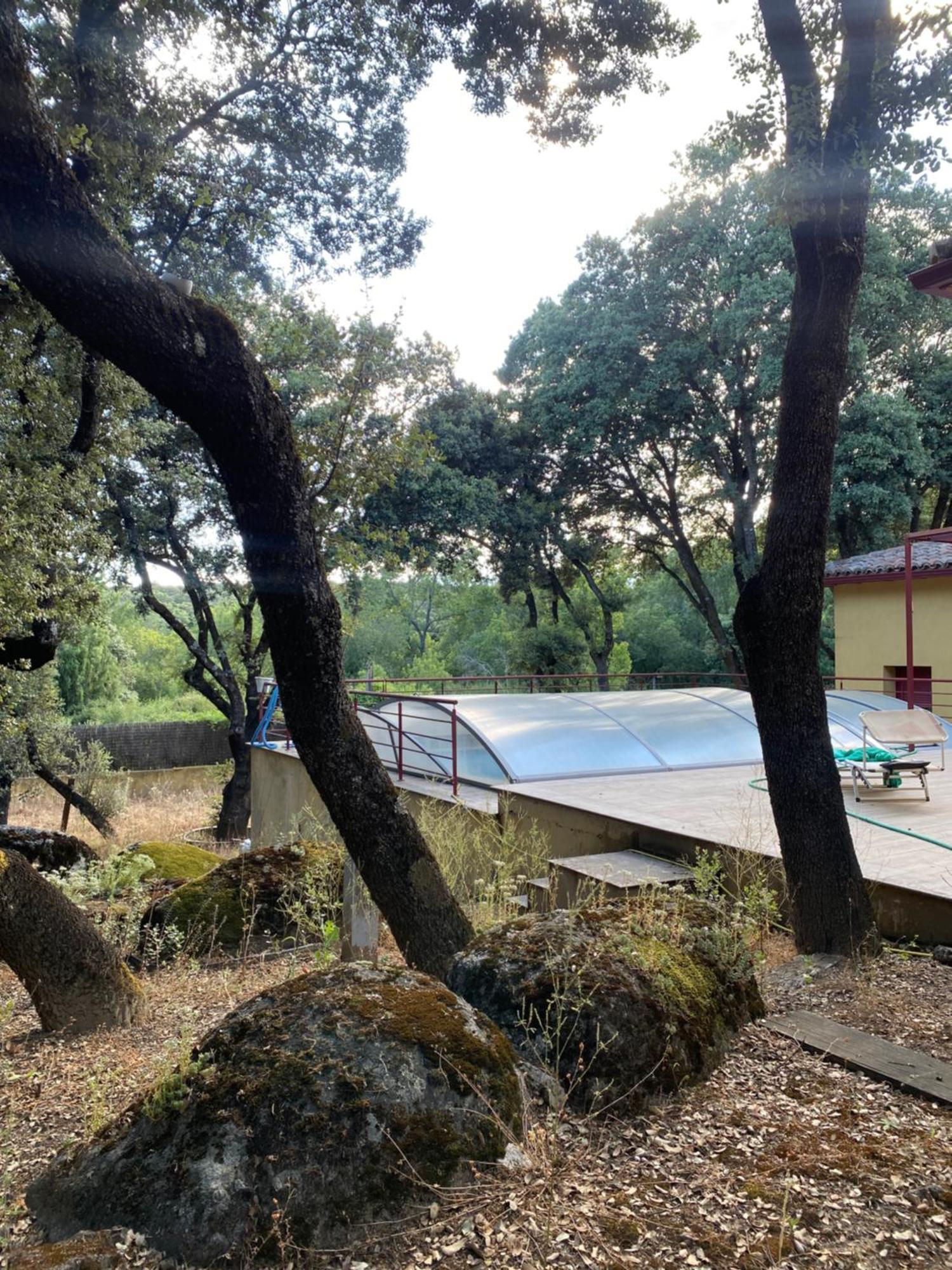 Chalet Con Piscina Vistas Y Salida A Parque Natural El Escorial Zewnętrze zdjęcie